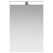 Dulap cu oglindă pentru baie Gri din beton 50 x 14,5 x 70 cm - WALTI WALTI