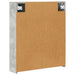 Dulap cu oglindă pentru baie Gri din beton 60 x 14,5 x 70 cm - WALTI WALTI