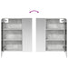 Dulap cu oglindă pentru baie Gri din beton 60 x 14,5 x 70 cm - WALTI WALTI