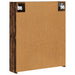 Dulap cu oglindă pentru baie Lemn vechi 60 x 14,5 x 70 cm - WALTI WALTI