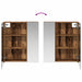 Dulap cu oglindă pentru baie Lemn vechi 60 x 14,5 x 70 cm - WALTI WALTI
