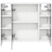 Dulap cu oglindă pentru baie Alb 60 x 14,5 x 50 cm - WALTI WALTI