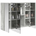 Dulap cu oglindă pentru baie Gri din beton 60 x 14,5 x 50 cm - WALTI WALTI