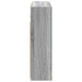 Dulap cu oglindă pentru baie Gri Sonoma 60 x 14,5 x 50 cm - WALTI WALTI