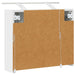 Dulap cu oglindă pentru baie Alb 60 x 14,5 x 50 cm - WALTI WALTI
