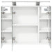 Dulap cu oglindă pentru baie Alb 60 x 14,5 x 50 cm - WALTI WALTI