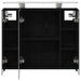 Dulap cu oglindă pentru baie Stejar Negru 60 x 14,5 x 50 cm - WALTI WALTI