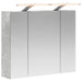 Dulap cu oglindă pentru baie Gri din beton 60 x 14,5 x 50 cm - WALTI WALTI