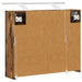 Dulap cu oglindă pentru baie Stejar fumuriu 60 x 14,5 x 50 cm - WALTI WALTI