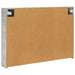 Dulap cu oglindă pentru baie Gri din beton 100 x 14,5 x 70 cm - WALTI WALTI