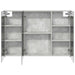 Dulap cu oglindă pentru baie Gri din beton 100 x 14,5 x 70 cm - WALTI WALTI