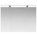 Dulap cu oglindă pentru baie cu raft Alb 100 x 14,5 x 70 cm - WALTI WALTI