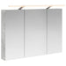 Dulap cu oglindă pentru baie Gri din beton 100 x 14,5 x 70 cm - WALTI WALTI