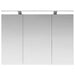 Dulap cu oglindă pentru baie Gri din beton 100 x 14,5 x 70 cm - WALTI WALTI