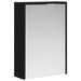 Dulap cu oglindă pentru baie Stejar Negru 43 x 16 x 62.5 cm - WALTI WALTI