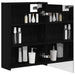 Dulap cu oglindă pentru baie Stejar Negru 43 x 16 x 62.5 cm - WALTI WALTI