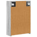 Dulap cu oglindă pentru baie Gri Sonoma 43 x 16 x 62.5 cm - WALTI WALTI