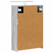 Dulap cu oglindă pentru baie Gri Sonoma 43 x 16 x 62.5 cm - WALTI WALTI