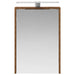 Dulap cu oglindă pentru baie Lemn vechi 43 x 16 x 62.5 cm - WALTI WALTI
