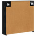 Dulap cu oglindă pentru baie Stejar Negru 63,5 x 16 x 62,5 cm - WALTI WALTI