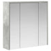 Dulap cu oglindă pentru baie Gri din beton 63,5 x 16 x 62,5 cm - WALTI WALTI