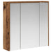 Dulap cu oglindă pentru baie Lemn vechi 63,5 x 16 x 62,5 cm - WALTI WALTI