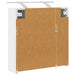 Dulap cu oglindă pentru baie Alb 63,5 x 16 x 62,5 cm - WALTI WALTI