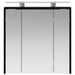 Dulap cu oglindă pentru baie Stejar Negru 63,5 x 16 x 62,5 cm - WALTI WALTI