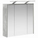 Dulap cu oglindă pentru baie Gri din beton 63,5 x 16 x 62,5 cm - WALTI WALTI