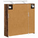 Dulap cu oglindă pentru baie Lemn vechi 63,5 x 16 x 62,5 cm - WALTI WALTI