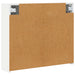 Dulap cu oglindă pentru baie Alb 73,5 x 16 x 62,5 cm - WALTI WALTI