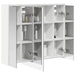 Dulap cu oglindă pentru baie Alb 73,5 x 16 x 62,5 cm - WALTI WALTI