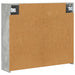 Dulap cu oglindă pentru baie Gri din beton 73,5 x 16 x 62,5 cm - WALTI WALTI