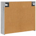 Dulap cu oglindă pentru baie Gri Sonoma 73,5 x 16 x 62,5 cm - WALTI WALTI