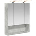 Dulap cu oglindă pentru baie Gri din beton 60 x 14.5 x 70 cm - WALTI WALTI