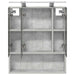 Dulap cu oglindă pentru baie Gri din beton 60 x 14.5 x 70 cm - WALTI WALTI
