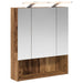 Dulap cu oglindă pentru baie Lemn vechi 60 x 14.5 x 70 cm - WALTI WALTI