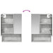 Dulap cu oglindă pentru baie Gri din beton 50 x 14,5 x 70 cm - WALTI WALTI