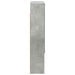 Dulap cu oglindă pentru baie Gri din beton 50 x 14,5 x 70 cm - WALTI WALTI