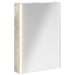 Dulap cu oglindă pentru baie Gri din beton 43 x 11,5 x 60,5 cm - WALTI WALTI