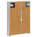 Dulap cu oglindă pentru baie Gri Sonoma 43 x 11,5 x 60,5 cm - WALTI WALTI