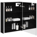 Dulap cu oglindă pentru baie Stejar Negru 53,5 x 15,5 x 70 cm - WALTI WALTI