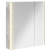 Dulap cu oglindă pentru baie Gri din beton 63,5 x 15,5 x 70 cm - WALTI WALTI