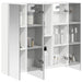Dulap cu oglindă pentru baie Alb 63,5 x 15,5 x 60,5 cm - WALTI WALTI