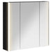 Dulap cu oglindă pentru baie Stejar Negru 63,5 x 15,5 x 60,5 cm - WALTI WALTI