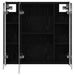 Dulap cu oglindă pentru baie Stejar Negru 63,5 x 15,5 x 60,5 cm - WALTI WALTI