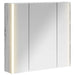 Dulap cu oglindă pentru baie Gri Sonoma 63,5 x 15,5 x 60,5 cm - WALTI WALTI