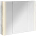 Dulap cu oglindă pentru baie Gri din beton 83,5 x 15,5 x 70 cm - WALTI WALTI