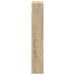 Dulap de perete pentru baie Stejar Sonoma 30 x 10 x 60,5 cm - WALTI WALTI