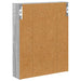 Dulap de perete pentru baie cu raft Sonoma gri 40 x 10 x 50 cm - WALTI WALTI
